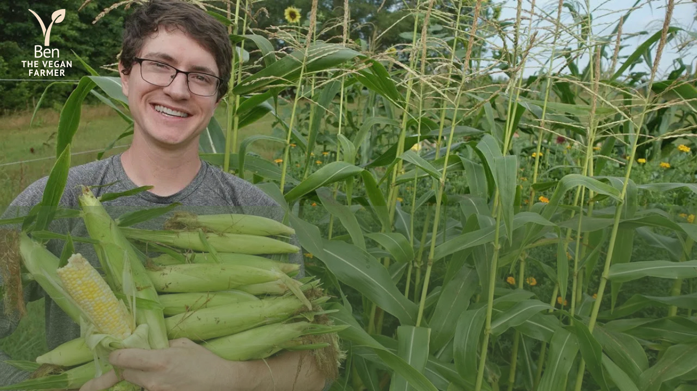 Published Ben The Vegan Farmer Website