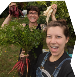 Wild Pines Farm